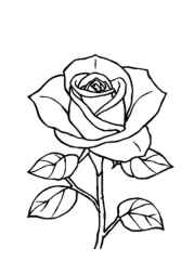 Roses Coloring Book A3D3B083 (12 Coloring Pages)