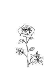 Roses Coloring Book A3D3B083 (12 Coloring Pages)