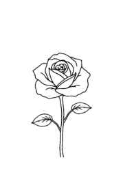Roses Coloring Book A3D3B083 (12 Coloring Pages)