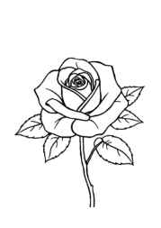 Roses Coloring Book BB0DE789 (12 Coloring Pages)