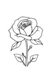 Roses Coloring Book BB0DE789 (12 Coloring Pages)