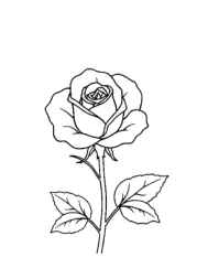 Roses Coloring Book BB0DE789 (12 Coloring Pages)