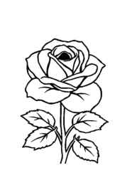 Roses Coloring Book BB0DE789 (12 Coloring Pages)