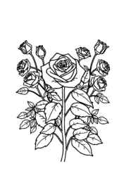 Roses Coloring Book BB0DE789 (12 Coloring Pages)