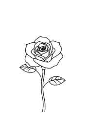 Roses Coloring Book BB0DE789 (12 Coloring Pages)