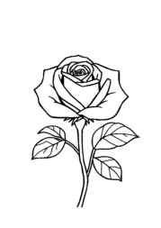 Roses Coloring Book DF2479FA (12 Coloring Pages)