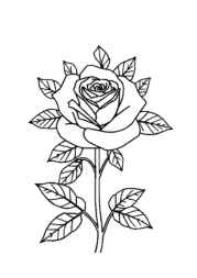 Roses Coloring Book DF2479FA (12 Coloring Pages)