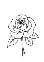 Roses Coloring Book DF2479FA (12 Coloring Pages)