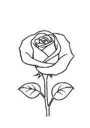Roses Coloring Book ED1A5B10 (12 Coloring Pages)