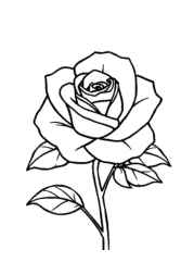 Roses Coloring Book ED1A5B10 (12 Coloring Pages)