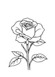 Roses Coloring Book ED1A5B10 (12 Coloring Pages)