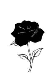 Roses Coloring Book ED1A5B10 (12 Coloring Pages)