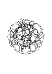 Russian Food Coloring Book 2241C0F9 (12 Coloring Pages)