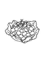 Salads Coloring Book 63064073 (12 Coloring Pages)