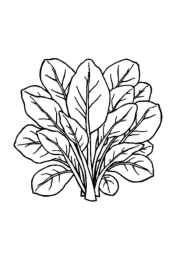 Salads Coloring Book 63064073 (12 Coloring Pages)