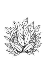 Salads Coloring Book 63064073 (12 Coloring Pages)