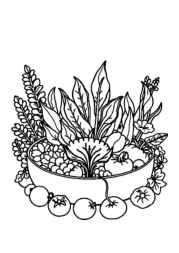 Salads Coloring Book 63064073 (12 Coloring Pages)
