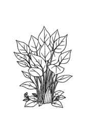 Salads Coloring Book D791FF43 (12 Coloring Pages)