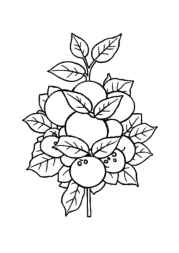Salads Coloring Book D791FF43 (12 Coloring Pages)