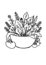 Salads Coloring Book D791FF43 (12 Coloring Pages)