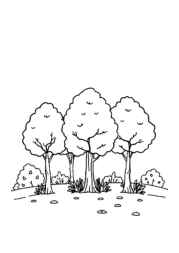 Seasonal Trees Coloring Book 929CED5F (12 Coloring Pages)
