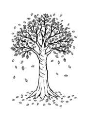 Seasonal Trees Coloring Book 929CED5F (12 Coloring Pages)