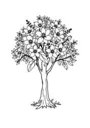Seasonal Trees Coloring Book 929CED5F (12 Coloring Pages)