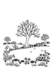 Seasonal Trees Coloring Book 929CED5F (12 Coloring Pages)