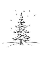 Seasonal Trees Coloring Book 929CED5F (12 Coloring Pages)