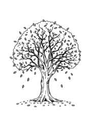 Seasonal Trees Coloring Book C0673619 (12 Coloring Pages)