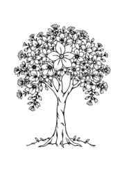 Seasonal Trees Coloring Book C0673619 (12 Coloring Pages)