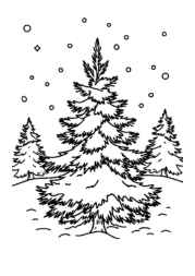 Seasonal Trees Coloring Book C0673619 (12 Coloring Pages)