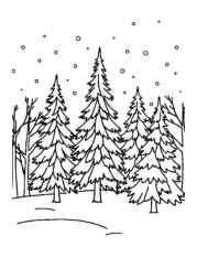 Seasonal Trees Coloring Book C0673619 (12 Coloring Pages)