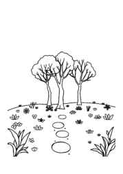 Seasonal Trees Coloring Book C0673619 (12 Coloring Pages)