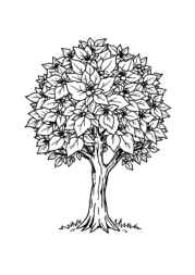 Seasonal Trees Coloring Book C0673619 (12 Coloring Pages)