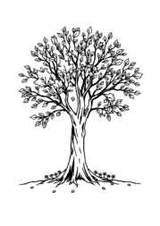 Seasonal Trees Coloring Book C0673619 (12 Coloring Pages)