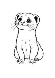 Small Animals Coloring Book 368ACEBD (12 Coloring Pages)