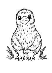 Small Animals Coloring Book 368ACEBD (12 Coloring Pages)