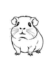 Small Animals Coloring Book 368ACEBD (12 Coloring Pages)