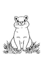Small Animals Coloring Book 368ACEBD (12 Coloring Pages)