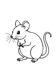 Small Animals Coloring Book A099AD5A (12 Coloring Pages)