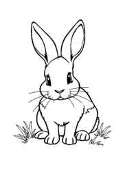 Small Animals Coloring Book A099AD5A (12 Coloring Pages)