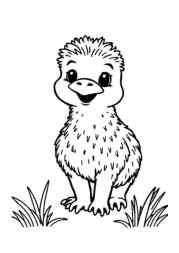 Small Animals Coloring Book A099AD5A (12 Coloring Pages)