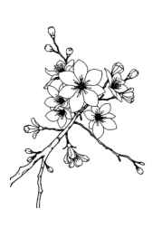 Spring Coloring Book B9C9951C (12 Coloring Pages)