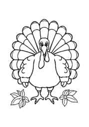 Thanksgiving Festival Coloring Book 12860A4A (12 Coloring Pages)