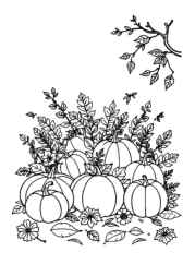 Thanksgiving Festival Coloring Book 16C6587B (12 Coloring Pages)