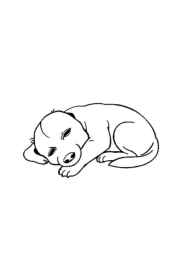 The Dog Benji Coloring Book 003F46CF (12 Coloring Pages)