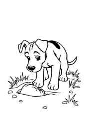 The Dog Benji Coloring Book 8A4648DD (12 Coloring Pages)