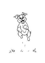 The Dog Benji Coloring Book 8A4648DD (12 Coloring Pages)
