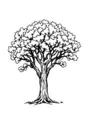 Trees Coloring Book 142DEEE4 (12 Coloring Pages)